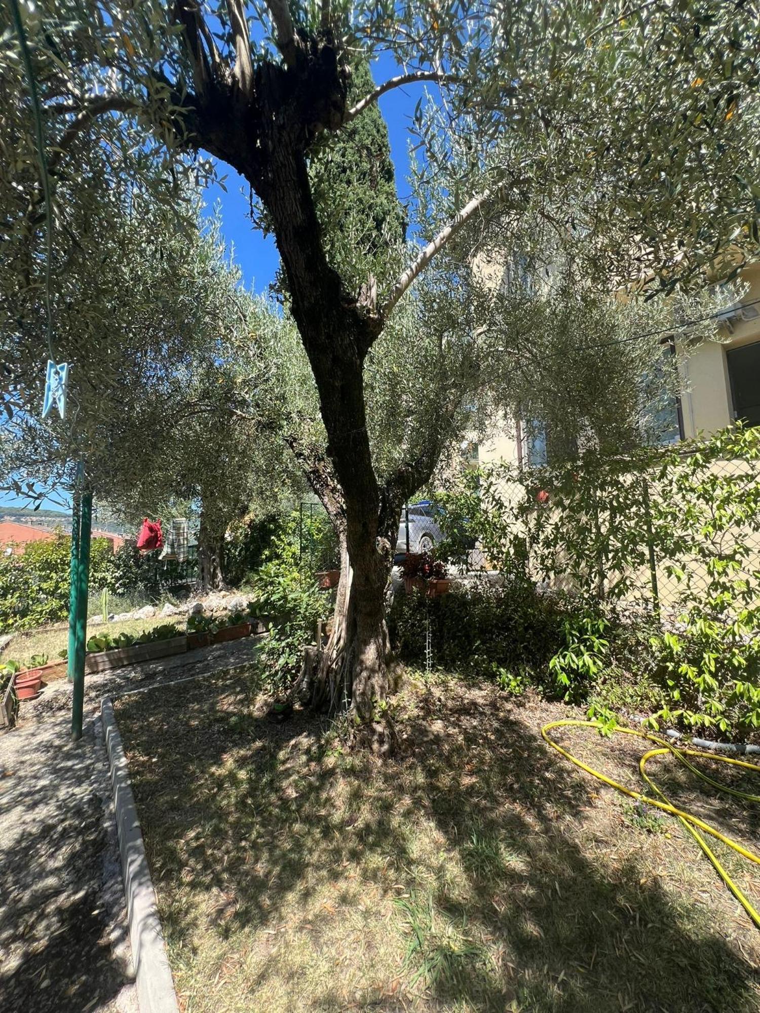 La Locanda Delle Idee Santa Lucia Perúgia Exterior foto